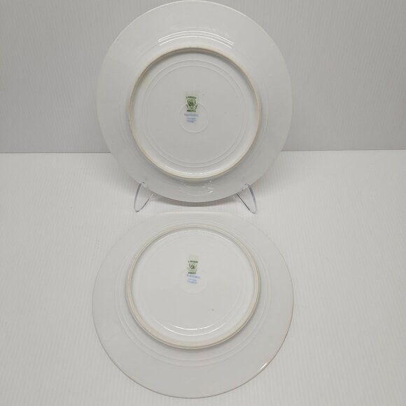 Wm Guerin Limoges Pink Rose Cabbage Rose Salad Plate Set of 2 Antique - Picture 4 of 4